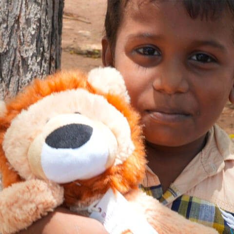 Sri Lankan boy with lion teddy