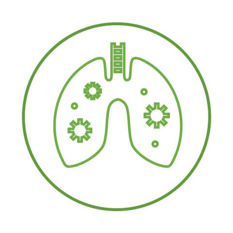 A&P Respiratory System icon of lungs and cogs